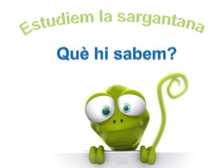 La sargantana