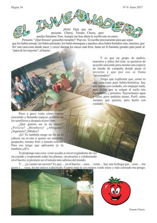 ¡Hola! Deja que me
presente: Cherry, Tomate Cherry, pero
puedes llamarme Tom.Aunque me leas ahora te escribí esto en enero.
Pensarás: “¡Qué fríoooo! ¡poooobre tomatito!” Pues no.Te escribo precisamente para que sepas
que los bebés-tomate, los bebés-pimiento, los bebés-berenjena y muchos otros bebés-hortaliza más, tenemos ¡por
fin! una casa-cuna donde nacer y crecer durante los meses más fríos, hasta ser lo bastante grandes para pasar al
“patio delos mayores”,alhuerto.
Te propongo una cosa: si me ayudas a crecer regándome de vez
en cuando y respetando todas las plantas, sin pisarlas y colaborando
enelhuerto,teprometoser eltomatemássabroso delmundo.
Y es que un grupo de padres,
maestros y niños del cole, se pusieron de
acuerdo una tarde para montar una especie
de tienda de campaña donde pasar el
invierno y que por eso se llama
“invernadero”.
Tengo que explicarte que, como es
una casa-cuna para bebés-hortaliza, hay
que entrar con cuidado, sin empujar nada,
para evitar que se caigan al suelo mis
hermanitos y primitos. Necesitamos agua
y calor, pero también mimo. Porfi: entra
siempre que quieras, pero hazlo con
cuidado.
Poco a poco verás cómo vamos
creciendo y llenando espacio, primero en
los semillerosy después alairelibre.
¿Qué quieres ser tú de mayor?
¿Policía? ¿Bombera? ¿Abogado?
¿Ingeniera?¿Médico?
¡Jo! Yo también tengo un lío en la
cabeza: no sé aún si quiero ser ensalada,
gazpacho, tomate frito o tomate relleno.
Para eso tengo que aplicarme (y tú
también¿eh?)
Y… ¿te cuento un secreto? Es que… en el huerto… eeee… verás… hay una lechuga que…eeee… me
gusta y… vaya, no me atrevo a decírselo. Cuanto más la veo menos verde estoy y más colorado me pongo.
Página 34 Nº 6- Junio 2017
Tomate Cherry
 