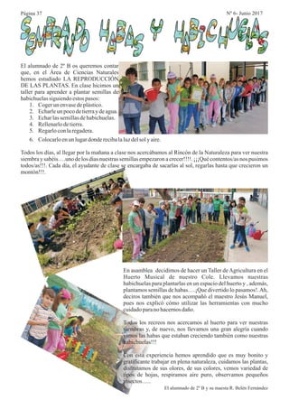 El alumnado de 2º B os queremos contar
que, en el Área de Ciencias Naturales
hemos estudiado LA REPRODUCCIÓN
DE LAS PLANTAS. En clase hicimos un
taller para aprender a plantar semillas de
habichuelassiguiendoestos pasos:
1. Cogerun envasedeplástico.
2. Echarleun pocodetierraydeagua.
3. Echarlassemillasdehabichuelas.
4. Rellenarlodetierra.
5. Regarloconlaregadera.
6. Colocarloenunlugardonderecibalaluzdelsolyaire.
Todos los días, al llegar por la mañana a clase nos acercábamos al Rincón de la Naturaleza para ver nuestra
siembra y sabéis….uno de los días nuestras semillas empezaron a crecer!!!!. ¡¡¡Qué contentos/as nos pusimos
todos/as!!!. Cada día, el ayudante de clase se encargaba de sacarlas al sol, regarlas hasta que crecieron un
montón!!!.
En asamblea decidimos de hacer un Taller deAgricultura en el
Huerto Musical de nuestro Cole. Llevamos nuestras
habichuelas para plantarlas en un espacio del huerto y , además,
plantamos semillas de habas….¡Que divertido lo pasamos!.Ah,
deciros también que nos acompañó el maestro Jesús Manuel,
pues nos explicó cómo utilizar las herramientas con mucho
cuidadoparano hacernosdaño.
Todos los recreos nos acercamos al huerto para ver nuestras
siembras y, de nuevo, nos llevamos una gran alegría cuando
vimos las habas que estaban creciendo también como nuestras
habichuelas!!!
Con esta experiencia hemos aprendido que es muy bonito y
gratificante trabajar en plena naturaleza, cuidamos las plantas,
disfrutamos de sus olores, de sus colores, vemos variedad de
tipos de hojas, respiramos aire puro, observamos pequeños
insectos…..
El alumnado de 2º B y su maesta R. Belén Fernández
Página 37 Nº 6- Junio 2017
 