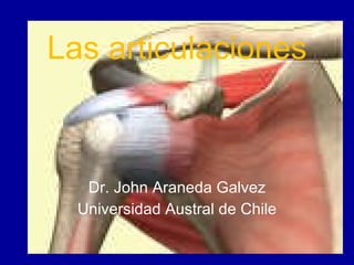 Las articulaciones Dr. John Araneda Galvez Universidad Austral de Chile 