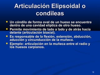 18
Articulación Elipsoidal oArticulación Elipsoidal o
condileascondileas
 Un cóndilo de forma oval de un hueso se encuentraUn cóndilo de forma oval de un hueso se encuentra
dentro de una cavidad elíptica de otro hueso.dentro de una cavidad elíptica de otro hueso.
 Permite movimiento de lado a lado y de atrás haciaPermite movimiento de lado a lado y de atrás hacia
delante (articulación biaxial).delante (articulación biaxial).
 Es responsable de la flexión, extensión, abducción,Es responsable de la flexión, extensión, abducción,
aducción y circunducción de la muñeca.aducción y circunducción de la muñeca.
 Ejemplo: articulación en la muñeca entre el radio yEjemplo: articulación en la muñeca entre el radio y
los huesos carpianos.los huesos carpianos.
 