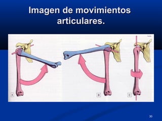 30
Imagen de movimientosImagen de movimientos
articulares.articulares.
 