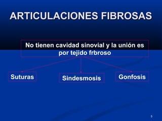 5
ARTICULACIONES FIBROSASARTICULACIONES FIBROSAS
No tienen cavidad sinovial y la unión es
por tejido frbroso
SindesmosisSuturas Gonfosis
 