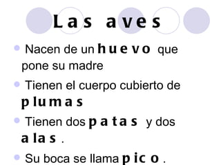 Las aves Nacen de un  huevo  que pone su madre Tienen el cuerpo cubierto de  plumas Tienen dos  patas  y dos  alas . Su boca se llama  pico . 