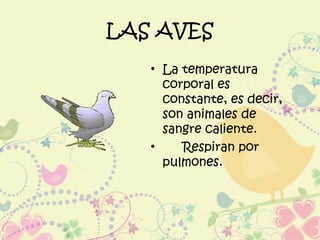 LAS AVES
• La temperatura
corporal es
constante, es decir,
son animales de
sangre caliente.
• Respiran por
pulmones.
 