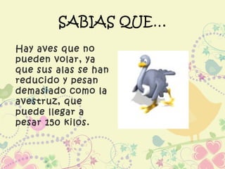 SABIAS QUE…
Hay aves que no
pueden volar, ya
que sus alas se han
reducido y pesan
demasiado como la
avestruz, que
puede llegar a
pesar 150 kilos.
 
