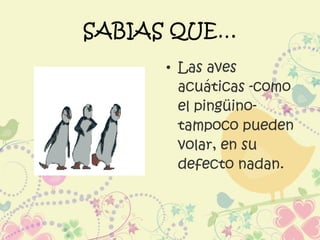 SABIAS QUE…
• Las aves
acuáticas -como
el pingüino-
tampoco pueden
volar, en su
defecto nadan.
 