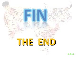 Las aves de doñana (2003).