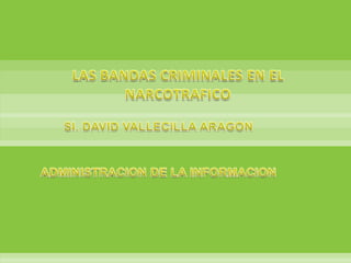 LAS BANDAS CRIMINALES EN EL NARCOTRAFICO SI. DAVID VALLECILLA ARAGON ADMINISTRACION DE LA INFORMACION 