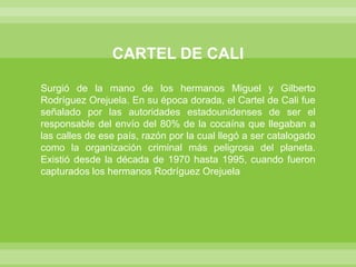 CARTEL DE CALISurgió de la mano de los hermanos Miguel y Gilberto Rodríguez Orejuela. En su época dorada, el Cartel de Cali fue señalado por las autoridades estadounidenses de ser el responsable del envío del 80% de la cocaína que llegaban a las calles de ese país, razón por la cual llegó a ser catalogado como la organización criminal más peligrosa del planeta. Existió desde la década de 1970 hasta 1995, cuando fueron capturados los hermanos Rodríguez Orejuela