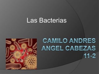 Las Bacterias
 