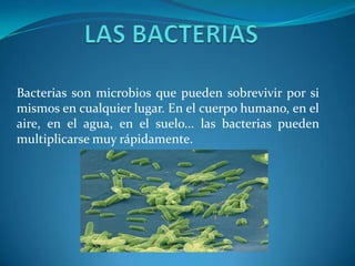 Bacterias son microbios que pueden sobrevivir por si
mismos en cualquier lugar. En el cuerpo humano, en el
aire, en el agua, en el suelo... las bacterias pueden
multiplicarse muy rápidamente.
 