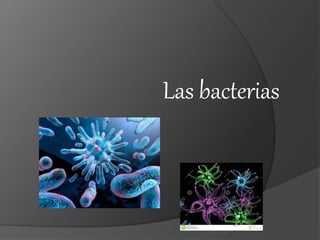 Las bacterias 
 