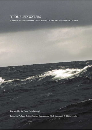 TROUBLED WATERS
A REVIEW OF THE WELFARE IMPLICATIONS OF MODERN WHALING ACTIVITIES




Foreword by Sir David Attenborough

Edited by Philippa Brakes, Andrew Butterworth, Mark Simmonds & Philip Lymbery
 