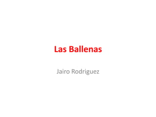 Las Ballenas

Jairo Rodriguez
 
