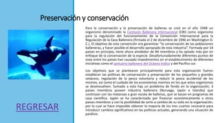 Preservación y conservación
Para la conservación y la preservación de ballenas se creó en el año 1948 un
organismo denominado la Comisión Ballenera Internacional (CBI) como organismo
para la regulación del funcionamiento de la Convención Internacional para la
Regulación de la Caza Ballenera (firmada el 2 de diciembre de 1946 en Washington D.
C.). El objetivo de esta convención era garantizar “la conservación de las poblaciones
balleneras, y hacer posible el desarrollo apropiado de esta industria”. Formada por 14
países en principio, tiene ahora alrededor de 84 miembros y ha optado más por en
enfoque de la conservación de la especie. Desafortunadamente diferentes puntos de
vista entre los países han causado impedimentos en el establecimiento de diferentes
iniciativas como el santuario ballenero del Océano Índico y del Pacífico sur.
Los objetivos que se plantearon principalmente para esta organización fueron
establecer las políticas de conservación y preservación de los pequeños y grandes
cetáceos, regulación de la pesca voluntaria y reducir la pesca accidental de los
mismos, así como el cuidado de los ecosistemas marinos en los que estos organismos
se desenvuelven. Sumado a esto hay un problema de fondo en la organización, 3
países miembros poseen industria ballenera (Noruega, Japón e Islandia) que
continúan con las matanzas a gran escala de ballenas, que se basan en programas de
caza científica. Japón se ha caracterizado por financiar económicamente a otros
países miembros y con la posibilidad de serlo a cambio de su voto en la organización,
por lo cual se hace imposible obtener la mayoría de los tres cuartos necesaria para
introducir cambios significativos en las políticas actuales, generando una situación de
parálisis.
REGRESAR
 