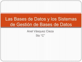 Las Bases de Datos y los Sistemas
  de Gestión de Bases de Datos
          Anel Vásquez Cieza
                5to “C”
 