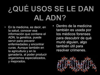 En la medicina, es decir, en la salud, conocer esa información que contiene el ADN, la genética, puede servir para prevenir enfermedades y encontrar curas. Aunque también en la agricultura y en la ganadería, al poder producir organismos especializados, y mejorados. Dentro de la medicina también es usada por los médicos forenses para descubrir de qué murió alguien, algo también útil para resolver crímenes. 