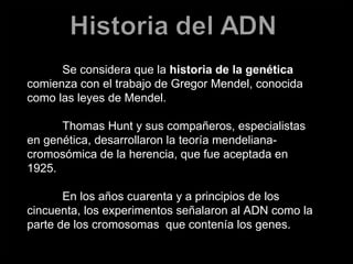 Historia de la genética  Se considera que la  historia de la genética  comienza con el trabajo de Gregor Mendel, conocida como las leyes de Mendel. Thomas Hunt y sus compañeros, especialistas en genética, desarrollaron la teoría mendeliana-cromosómica de la herencia, que fue aceptada en 1925. En los años cuarenta y a principios de los cincuenta, los experimentos señalaron al ADN como la parte de los cromosomas  que contenía los genes. 