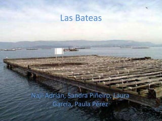 Las Bateas




Naji-Adrián, Sandra Piñeiro, Laura
       García, Paula Pérez
 