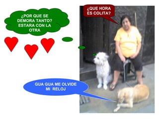 ¿POR QUE SE DEMORA TANTO? ESTARA CON LA OTRA ¿QUE HORA ES COLITA? GUA GUA ME OLVIDE MI  RELOJ 