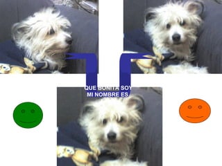 QUE BONITA SOY MI NOMBRE ES  LAKY 