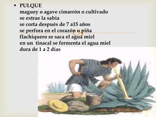 Las bebidas mexicanas pulque, mezcal y tesg+£ino | PPTX