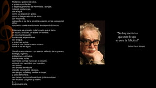 Rodando a goterones solos,
a gotas como dientes,
a espesos goterones de mermelada y sangre,
rodando a goterones,
cae el agua,
como una espada en gotas,
como un desgarrador río de vidrio,
cae mordiendo,
golpeando el eje de la simetría, pegando en las costuras del
alma,
rompiendo cosas abandonadas, empapando lo oscuro.
Solamente es un soplo, más húmedo que el llanto,
un líquido, un sudor, un aceite sin nombre,
un movimiento agudo,
haciéndose, espesándose,
cae el agua,
a goterones lentos,
hacia su mar, hacia su seco océano,
hacia su ola sin agua.
Veo el verano extenso, y un estertor saliendo de un granero,
bodegas, cigarras,
poblaciones, estímulos,
habitaciones, niñas
durmiendo con las manos en el corazón,
soñando con bandidos, con incendios,
veo barcos,
veo árboles de médula
erizados como gatos rabiosos,
veo sangre, puñales y medias de mujer,
y pelos de hombre,
veo camas, veo corredores donde grita una virgen,
veo frazadas y órganos y hoteles.
[…]
PABLO NERUDA.
 