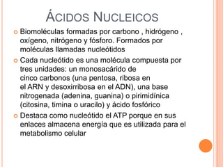Ribosa, Desoxirribosa(de los ácidosnucleicos)Polisacáridos : Glúcidosmáscomplejosformadospormilllones de monosacáridosGlucógeno/animales        - Celulosa