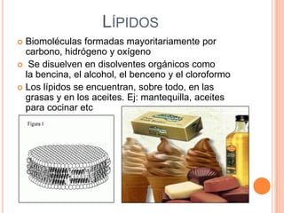 Tipos de GlúcidosMonosacáridos: Glúcidosmás simplesGlucosa