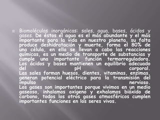 Biomoléculas inorgánicas: sales, agua, bases, ácidos y gases. De éstos el agua es el más abundante y el más importante para la vida en nuestro planeta, su falta produce deshidratación y muerte, forma el 80% de una célula, en ella se llevan a cabo las reacciones químicas, es un medio de transporte de substancias y cumple una importante función termorreguladora.Los ácidos y bases mantienen un equilibrio adecuado del pH corporal.Las sales forman huesos, dientes, vitaminas, enzimas, generan potencial eléctrico para la transmisión del impulso nervioso.Los gases son importantes porque vivimos en un medio gaseoso, inhalamos oxigeno y exhalamos bióxido de carbono, todos los otros gases atmosféricos cumplen importantes funciones en los seres vivos.