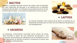 MALTOSA
Maltosa o también llamada azúcar de malta, esta constituida
por dos moléculas de glucosa, y se obtiene por la hidrólisis
industrial del almidón. La maltosa se la puede encontrar en las
semillas germinadas y sirve para la fabricacion de la cerveza.
LACTOSA
Se conoce también como azúcar de la leche. La lactosa es un
disacárido formado por la unión de una molécula de glucosa y
una de galactosa.
SACAROSA
La sacarosa, comúnmente conocida como azúcar de mesa,
está formado a partir de una molécula de glucosa y una
fructuosa. Se encuentra en abudancia en la remolacha y en la
caña de azúcar en donde se extrae y constituye el azúcar que
consumimos habitualmente.
 