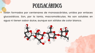 polisacáridos
Están formados por centenares de monosacáridos, unidos por enlaces
glucosídicos. Son, por lo tanto, macromoléculas. No son solubles en
agua ni tienen sabor dulce, aunque son sólidos de color blanco.
 