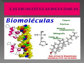 Las biomoléculas inorgánicas