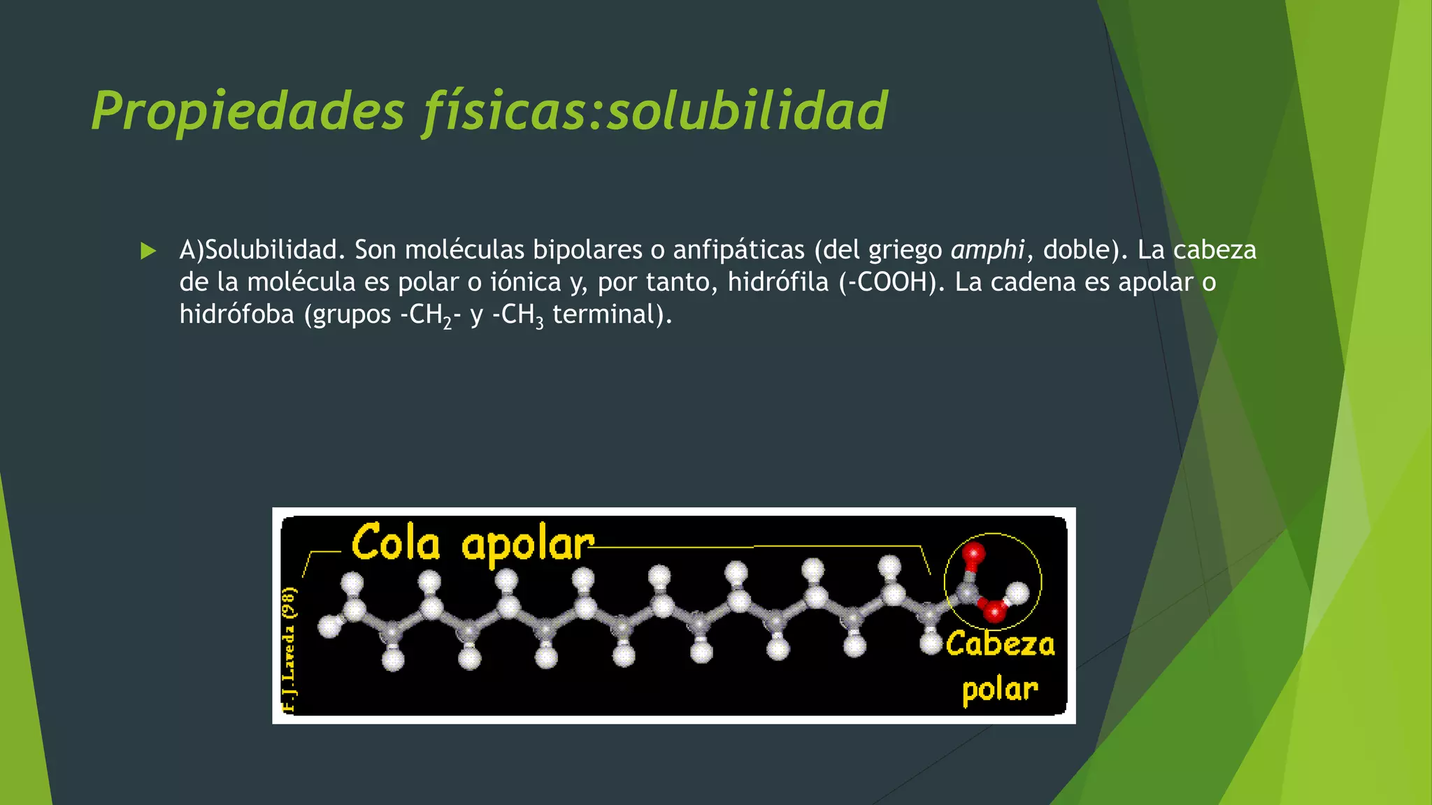 Propiedades físicas:solubilidad
 A)Solubilidad. Son moléculas bipolares o anfipáticas (del griego amphi, doble). La cabeza
de la molécula es polar o iónica y, por tanto, hidrófila (-COOH). La cadena es apolar o
hidrófoba (grupos -CH2- y -CH3 terminal).
 