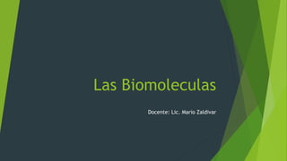 Las Biomoleculas
Docente: Lic. Mario Zaldivar
 