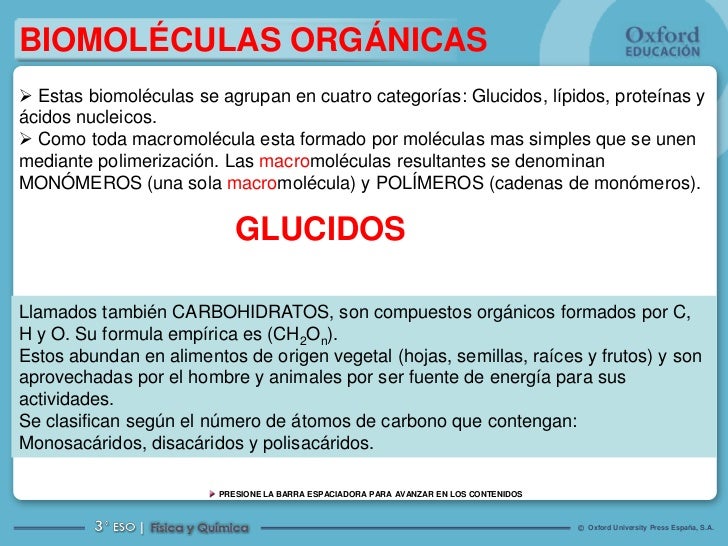 Resultado de imagen para biomoleculas organicas ejemplos zanahoria