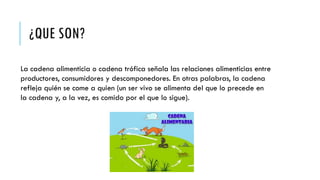 ¿QUE SON?
La cadena alimenticia o cadena trófica señala las relaciones alimenticias entre
productores, consumidores y descomponedores. En otras palabras, la cadena
refleja quién se come a quien (un ser vivo se alimenta del que lo precede en
la cadena y, a la vez, es comido por el que lo sigue).
 