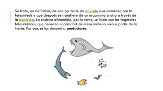 Se trata, en definitiva, de una corriente de energía que comienza con la
fotosíntesis y que después se transfiere de un organismo a otro a través de
la nutrición. La cadena alimenticia, por lo tanto, se inicia con los vegetales
fotosintéticos, que tienen la capacidad de crear materia viva a partir de la
inerte. Por eso, se los denomina productores.
 