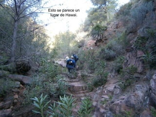 Esto se parece un
 lugar de Hawai.
 