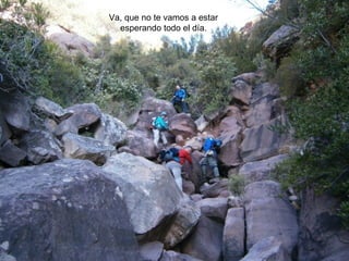 Va, que no te vamos a estar
  esperando todo el día.
 