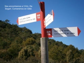 Nos encontramos a 3 Km. De
Segart. Comeremos en Gilet.
 