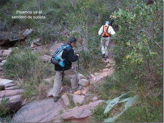 Pisamos ya el
sendero de subida.
 