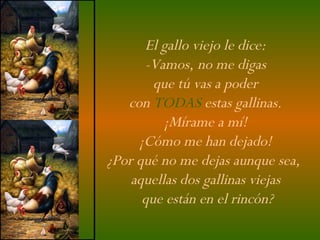 El gallo viejo le dice:  -Vamos, no me digas  que tú vas a poder  con  TODAS  estas gallinas.  ¡Mírame a mí!  ¡Cómo me han dejado!  ¿Por qué no me dejas aunque sea,  aquellas dos gallinas viejas  que están en el rincón? 