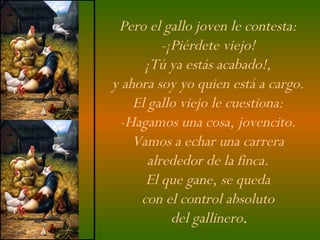 Pero el gallo joven le contesta:  -¡Piérdete viejo!  ¡Tú ya estás acabado!,  y ahora soy yo quien está a cargo.  El gallo viejo le cuestiona:  -Hagamos una cosa, jovencito.  Vamos a echar una carrera  alrededor de la finca.  El que gane, se queda  con el control absoluto  del gallinero . 