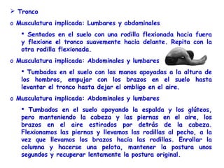  Tronco
o Musculatura implicada: Lumbares y abdominales
    Sentados en el suelo con una rodilla flexionada hacia fuera
   y flexione el tronco suavemente hacia delante. Repita con la
   otra rodilla flexionada.
o Musculatura implicada: Abdominales y lumbares
    Tumbados en el suelo con las manos apoyadas a la altura de
   los hombros, empujar con los brazos en el suelo hasta
   levantar el tronco hasta dejar el ombligo en el aire.
o Musculatura implicada: Abdominales y lumbares
    Tumbados en el suelo apoyando la espalda y los glúteos,
   pero manteniendo la cabeza y las piernas en el aire, los
   brazos en el aire estirados por detrás de la cabeza.
   Flexionamos las piernas y llevamos las rodillas al pecho, a la
   vez que llevamos los brazos hacia las rodillas. Enrollar la
   columna y hacerse una pelota, mantener la postura unos
   segundos y recuperar lentamente la postura original.
 