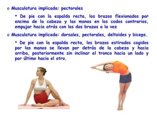 o Musculatura implicada: pectorales
    De pie con la espalda recta, los brazos flexionados por
   encima de la cabeza y las manos en los codos contrarios,
   empujar hacia atrás con los dos brazos a la vez
o Musculatura implicada: dorsales, pectorales, deltoides y biceps.
    De pie con la espalda recta, los brazos estirados cogidos
   por las manos se llevan por detrás de la cabeza y hacia
   arriba, posteriormente sin inclinar el tronco hacia un lado y
   por último hacia el otro.
 
