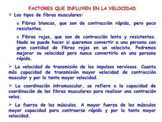 FACTORES QUE INFLUYEN EN LA VELOCIDAD
 Los tipos de fibras musculares:
   o Fibras blancas, que son de contracción rápida, pero poco
   resistentes.
   o Fibras rojas, que son de contracción lenta y resistentes.
   Nada se puede hacer si queremos convertir a una persona con
   gran cantidad de fibras rojas en un velocista. Podremos
   mejorar su velocidad pero nunca convertirlo en una persona
   rápida.
 La velocidad de transmisión de los impulsos nerviosos. Cuanta
más capacidad de transmisión mayor velocidad de contracción
muscular y por lo tanto mayor velocidad.
 La coordinación intramuscular, se refiere a la capacidad de
coordinación de las fibras musculares para realizar una contración
veloz.
 La fuerza de los músculos. A mayor fuerza de los músculos
mayor capacidad para contraerse rápido y por lo tanto mayor
velocidad.
 