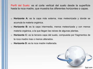 Perfil del Suelo: es el corte vertical del suelo desde la superficie
hasta la roca madre, que muestra los diferentes horizontes o capas.

o Horizonte A: es la capa más externa, mas meteorizada y donde se
acumula la materia orgánica.
o Horizonte B: es la capa intermedia, menos meteorizada y con menos
materia orgánica, a la que llegan las raíces de algunas plantas.
o Horizonte C: es la tercera capa del suelo, compuesta por fragmentos de
la roca madre mas o menos alterados.
o Horizonte D: es la roca madre inalterada.

 