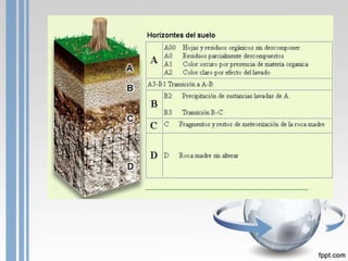 Las capas de la tierra